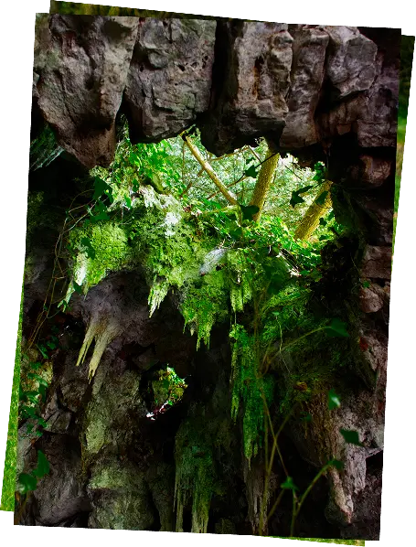 Stalactites de la grotte de la Madeleine dans le parc du Château d’Attre, Hainaut