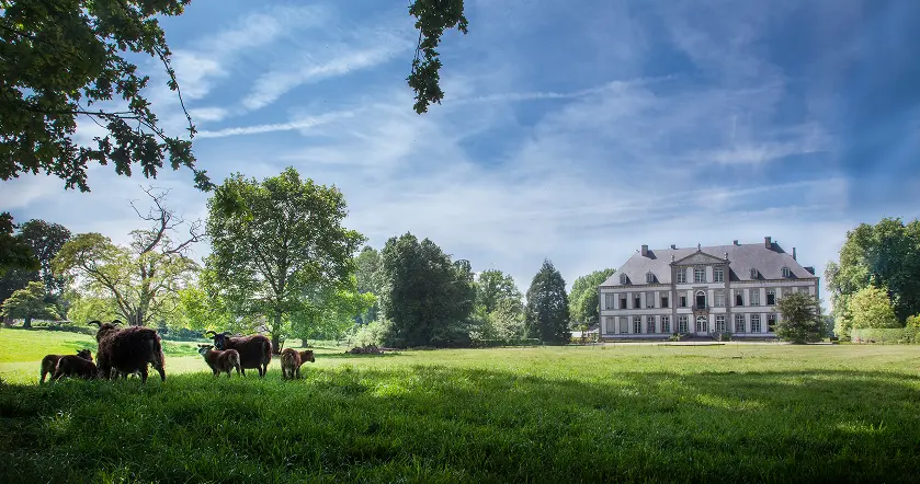 Château d’Attre et son troupeau de moutons dans le parc paysager, Hainaut, Belgique